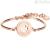 BHK49 Brosway bracelet in PVD steel Rose Gold Chakra collection